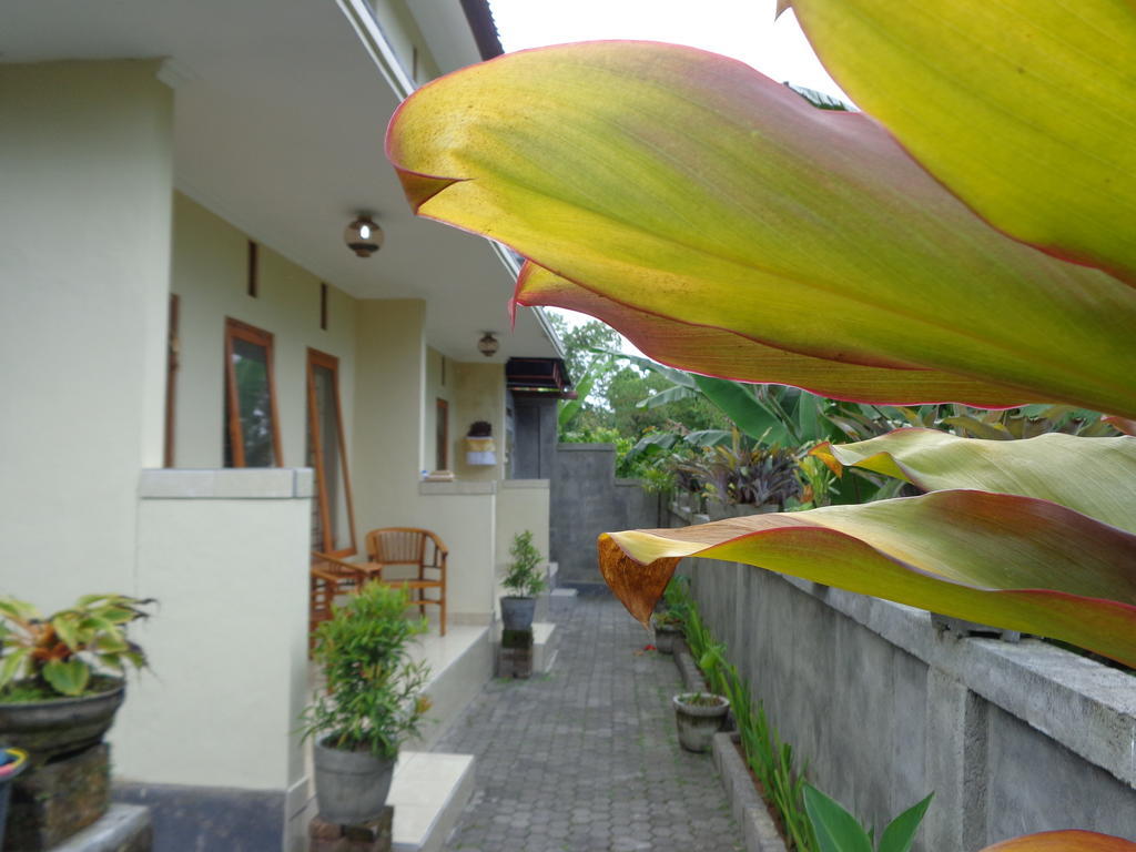 Sintya Homestay ウブド エクステリア 写真